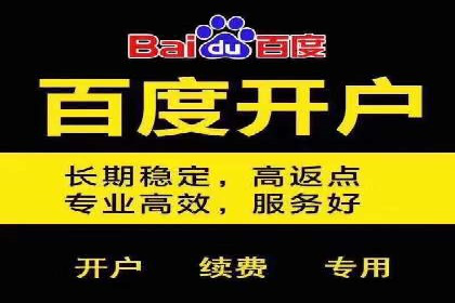 成功企业背后的百度推广策略